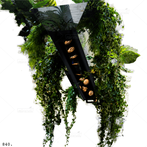 Eland® Plants Mirrors Pinspots Eland® Plants Mirrors Pinspots